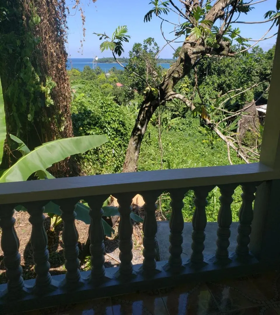 Viva Violas Port Antonio