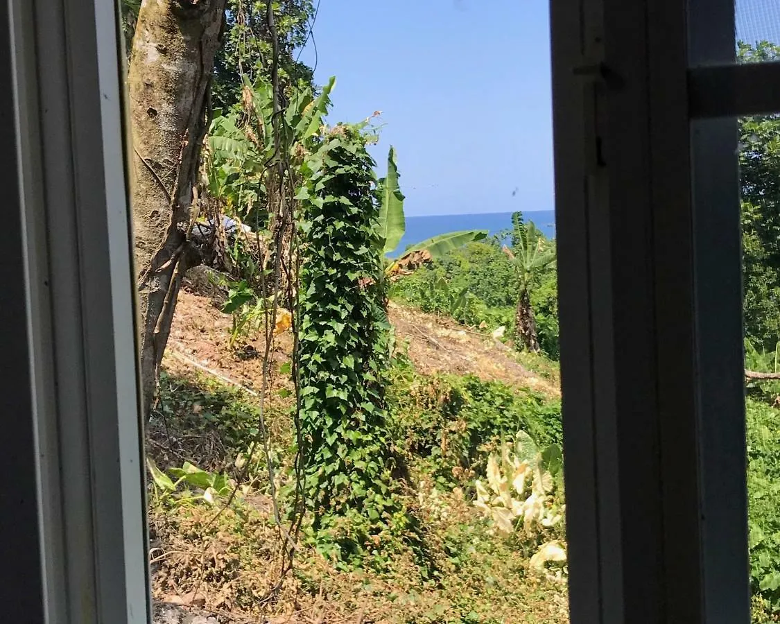 Hostel Viva Violas Port Antonio